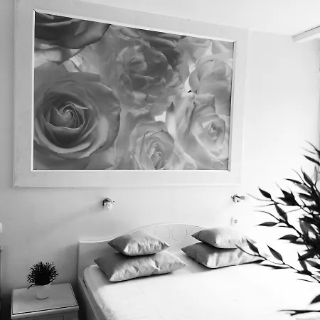 Bonaca מאקרסקה