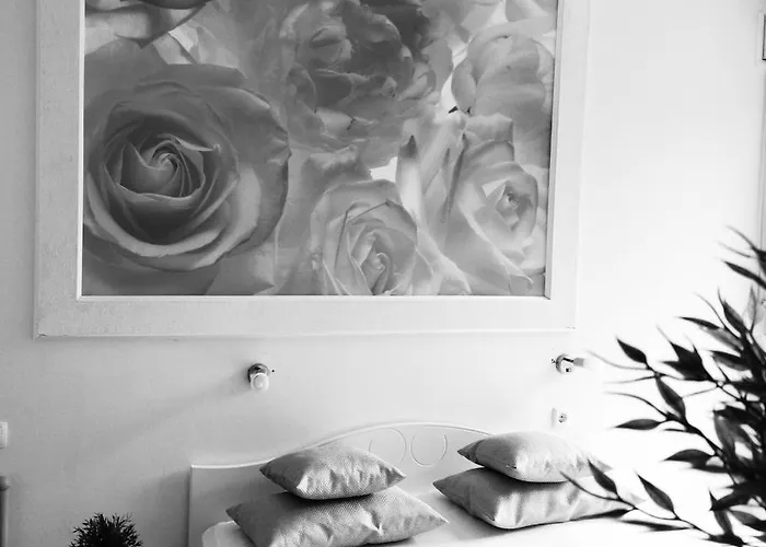 Bonaca Макарска